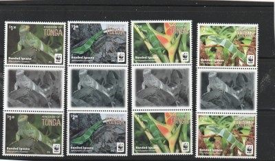 Tonga 2016 - Fauna , WWF , Iguana , serie 4 valori si serie cu vigneta poz.I , dantelate , MNH , Mi.2098-2101 foto