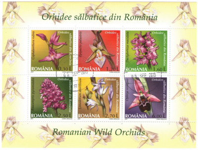 Romania 2007 - Orhidee sălbatice, bloc stampilat foto