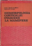 Biomorfologia Corticalei Avariene Mamifere - Vasile D. Marza, Carte Academiei 1972