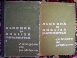 Algebra si analiza matematica Culegere de probleme-N.Donciu,F.Flondor foto