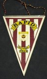 Fanion fotbal - RAPID BUCURESTI