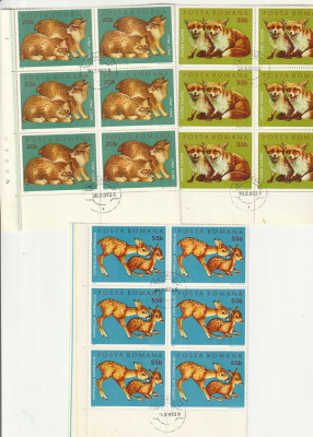 PUI DE ANIMALE SALBATICE ( LP 785 ) 1973 OBLITERATA BLOC DE 6 foto