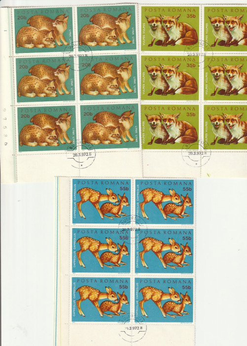 PUI DE ANIMALE SALBATICE ( LP 785 ) 1973 OBLITERATA BLOC DE 6