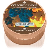 Country Candle Merlot Vines lum&acirc;nare 42 g