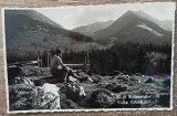 Muntii Retezatului, Valea Galesului// CP foto J. Horvath Hateg, Necirculata, Printata