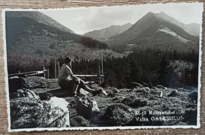 Muntii Retezatului, Valea Galesului// CP foto J. Horvath Hateg foto