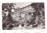 CP Turia (scris Toria) - Casa de odihana, RPR, circulata 1964, cu mici pete