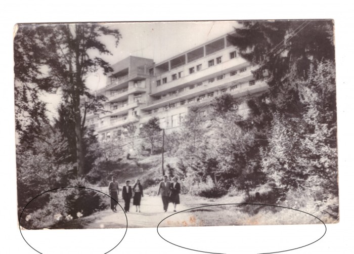 CP Turia (scris Toria) - Casa de odihana, RPR, circulata 1964, cu mici pete