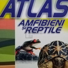 Dumitru Murariu - Mic atlas amfibieni si reptile (editia 2010)