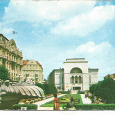 (A) carte postala(ilustrata)-TIMISOARA