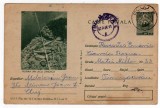 Carte postala PASTRAVI DIN LACUL ZANOAGA CDA 303 /IV.1964 TIRAJ 90000 EX, Circulata, Printata