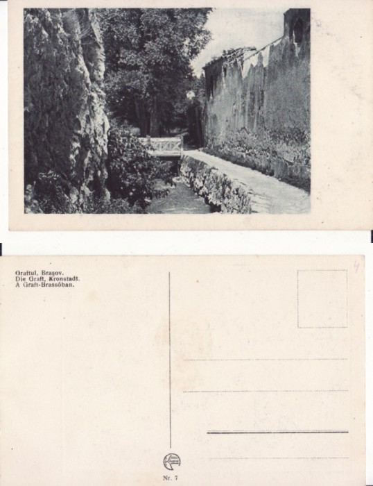 Brasov -Graft