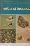 Cumpara ieftin Carte Melcul si broasca - Autori: Alexandru Georgeoni, Gheorghe Iacob, Eugen Belous - 1975 - 111 pagini - Dimensiuni 13x20 cm - Romana - Brosata