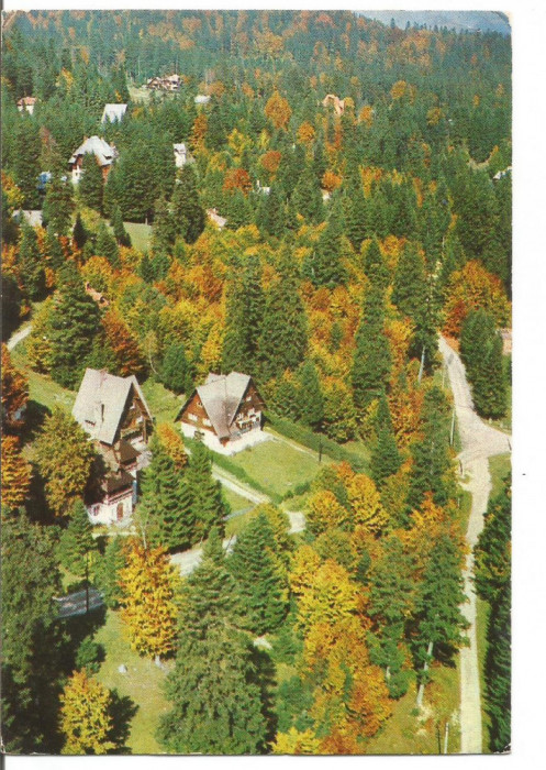 carte postala-SINAIA-Vile pe Furnica