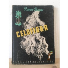 Robert Bauer - Celofibra