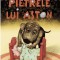 Pietrele lui Aston - de LOTTA GEFFENBLAD