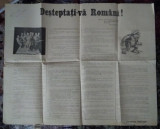 Afiș CONȘTIINȚA NAȚIONALĂ : DESTEPTATI-VA ROM&Acirc;NI! 1924,mișcări studențești...