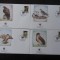 Islanda-WWF,FDC pasari de prada-set complet