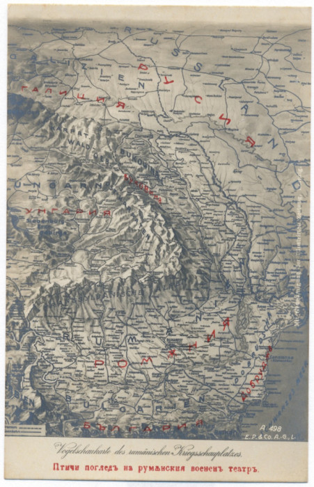 1918 - Map, SUCEAVA, RADAUTI, Falticeni, Botosani Bucovina - old postcard unused