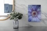 Tablou Canvas, "Petalele delicate ale florii albastre", Floare, Petale, Violet, Textură, Detaliu, Natural, Frumusețe, Pastel, Centrul, Grădină, Artă,