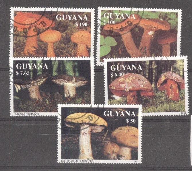 Guyana 1991 Mushrooms, used M.232