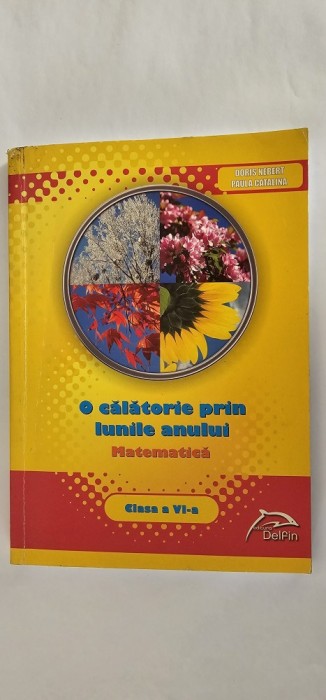 MATEMATICA , CLASA A VI A , O CALATORIE PRIN LUNILE ANULUI ,EDITURA DELFIN .