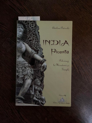 Adelina Patrichi - India picanta: pelerinaj la mirodenii si temple foto