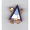 Insigna ski RPR/RSR
