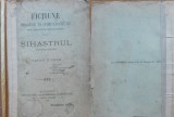 Fictiune , imagine si comparatiune ; Sihastrul ,poveste poetica de V. Paun ,1896