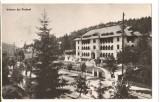 CPI B 11329 CARTE POSTALA - VEDERE DIN PREDEAL, RPR, Circulata, Fotografie