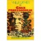Willa Cather - Casa profesorului - 112521