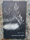 Dejunul pe iarba &ndash; Sorin Titel