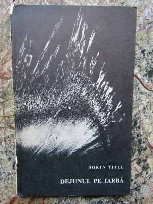 Dejunul pe iarba &amp;ndash; Sorin Titel foto
