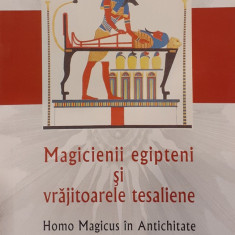Magicienii egipteni si vrajitoarele tesaliene Homo magicus in antichitate