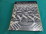 PIATRA TREI IERARHILOR * RAZVAN THEODORESCU, IOAN OPREA / 1979 * 4 2 6