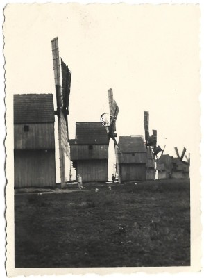 M1107N Mori de v&amp;acirc;nt, Basarabia, perioada interbelică foto