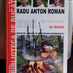 DE LA MUNTE LA DELTA - RADU ANTON ROMAN