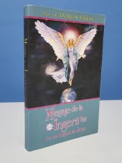Mesaje de la ingerii tai. Ce vor ingerii tai sa stii - Doreen Virtue
