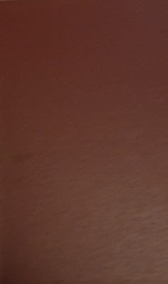 PARINTELE VENIAMIN N RADULESCU NIGER foto
