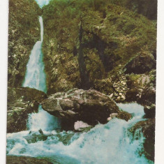 FA7 -Carte Postala - ITALIA - Introbio, La cascata della Troggia, circulata 1976