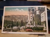 Carte Postala - Sinaia. Castelul Peles cu terasa din fata