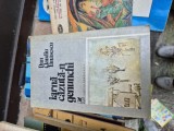 Iarnă cazuta-n genunchi vintage