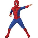 Costum de carnaval - Spiderman