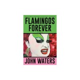 Flamingos Forever: A Screenplay