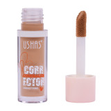 Concealer Corector Ushas #05