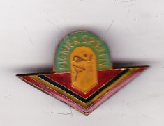 bnk ins Insigna Pionier Sportiv - fara clasa