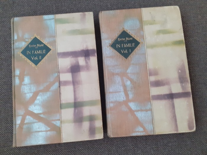 Hector Malot - In familie 2 VOLUME LEGATE DE LUX