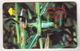 bnk card Cartele telefonice - Oman - fauna - pasari