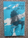 Portret intr-o oglinda - Charles Morgan, 1978