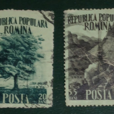 ROMANIA 1956 LP 408 Luna Pădurii Sere stampilata